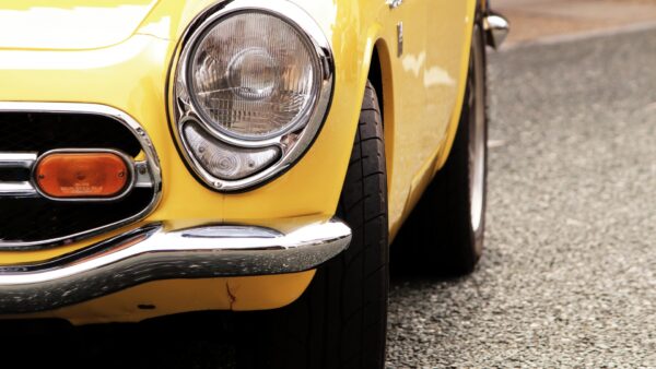 車が黄色だと虫が付きやすい？その理由と対処方法