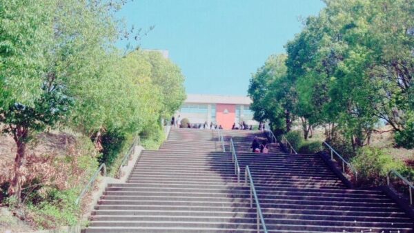 大学を休学する時の理由書の書き方を紹介します