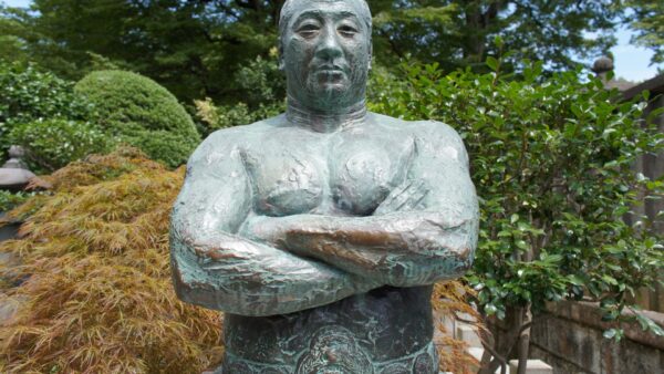 プロレスラーになりたい！筋肉をつけて体脂肪率を減らそう！