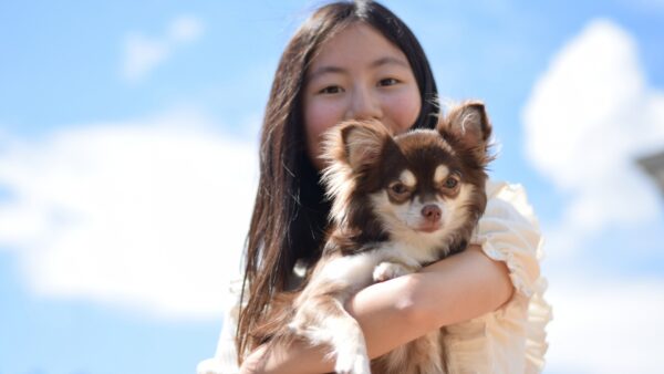 ホームセンターのペットショップで売れ残りになった犬猫