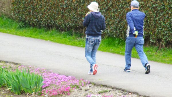 30分歩くことの効果は？毎日歩いて健康的な体を維持しよう